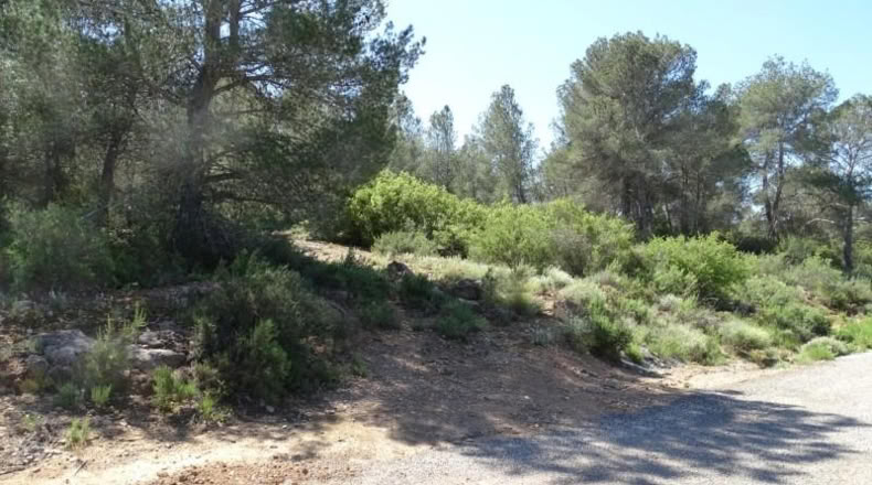 Valencia - Villamarchante - 12700m2