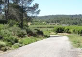 Terreny no urbanitzable en venda a la España, Vilamarxant, ref.: TR320426 foto