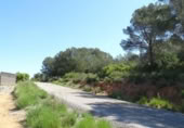 Terreny no urbanitzable en venda a la España, Vilamarxant, ref.: TR320426 foto