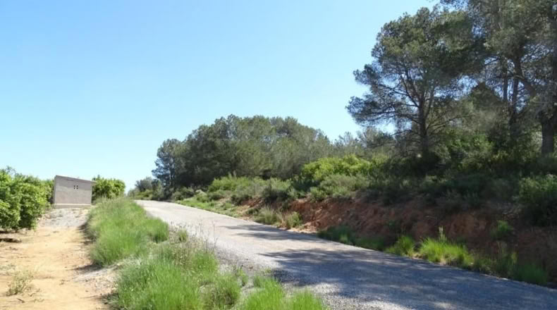 Valencia - Villamarchante - 12700m2