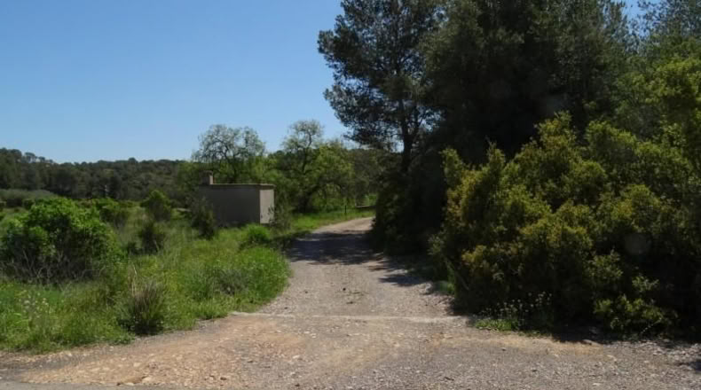 Valencia - Villamarchante - 12700m2