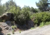 Terreny no urbanitzable en venda a la España, Vilamarxant, ref.: TR320426 foto