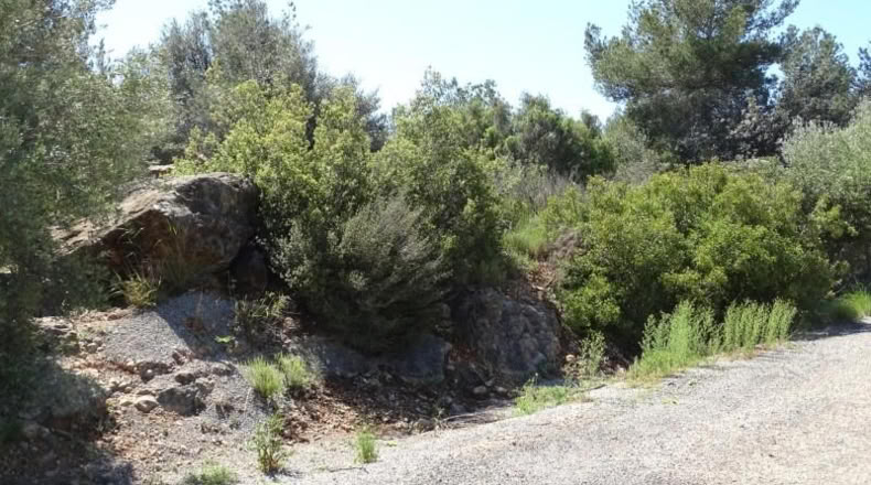 Valencia - Villamarchante - 12700m2