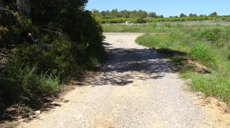 Valencia - Villamarchante - 12700m2