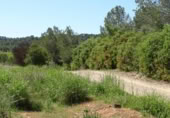 Terreny no urbanitzable en venda a la España, Vilamarxant, ref.: TR320426 foto