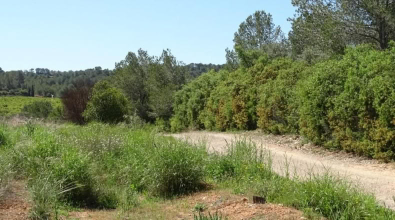 Valencia - Villamarchante - 12700m2