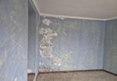 Casa de pueblo en venta en la España, Ubrique, ref: TR275315 foto