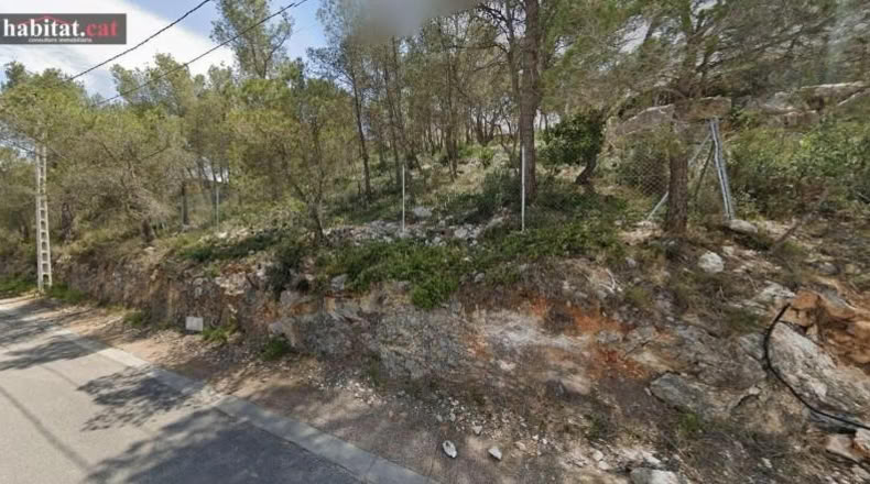Barcelona - Olivella - 1004m2