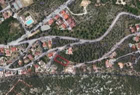 Olivella 1004&nbsp;m²