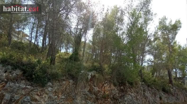 Barcelona - Olivella - 1067m2