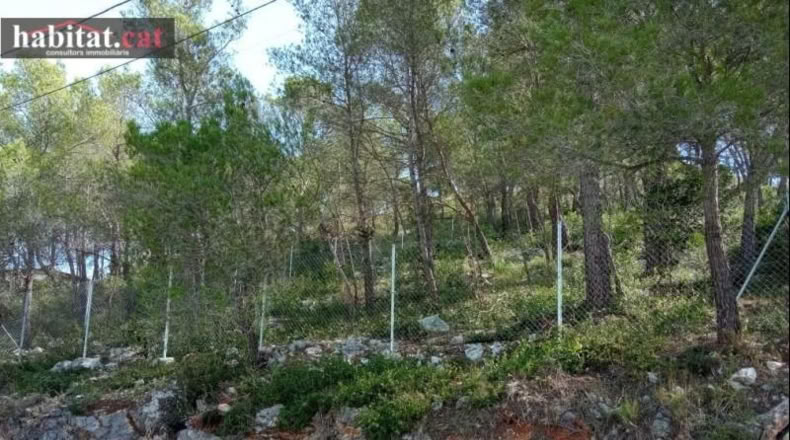 Barcelona - Olivella - 1067m2