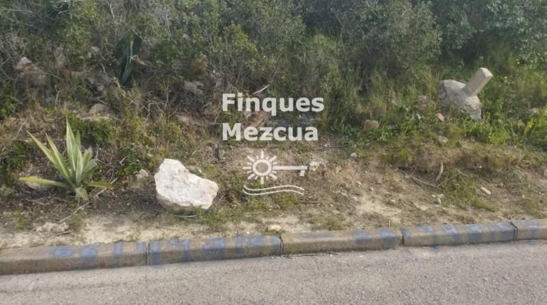 Tarragona - la Bisbal del Penedès - 1320m2