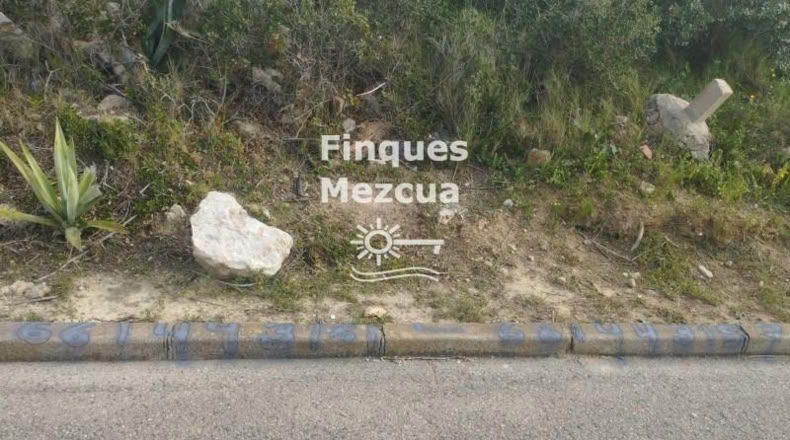 Tarragona - la Bisbal del Penedès - 1320m2