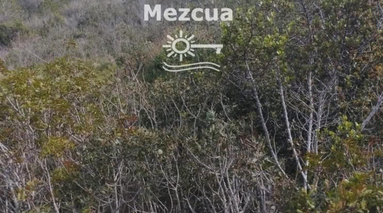 Tarragona - la Bisbal del Penedès - 1320m2