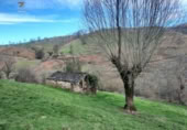 Finca rústica en venda a la España, Selaya, ref.: TR291588 foto
