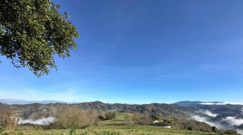 Asturias - Carranques - 796m2