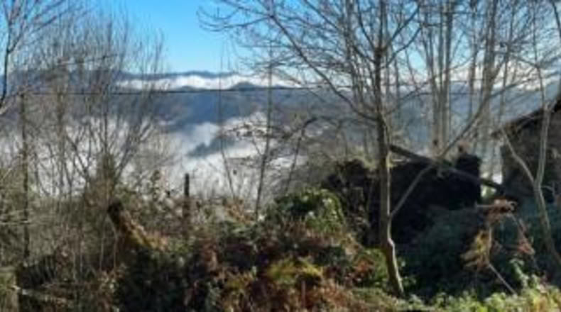 Asturias - Carranques - 796m2
