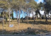 Land suitable for development for sale on España, la Torre de Claramunt, ref: TR286851 photo