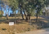 Land suitable for development for sale on España, la Torre de Claramunt, ref: TR286851 photo