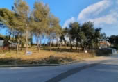 Land suitable for development for sale on España, la Torre de Claramunt, ref: TR286851 photo
