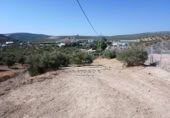 Parcel·la urbanitzable en venda a la España, Lucena, ref.: TR241762 foto