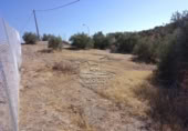 Parcel·la urbanitzable en venda a la España, Lucena, ref.: TR241762 foto