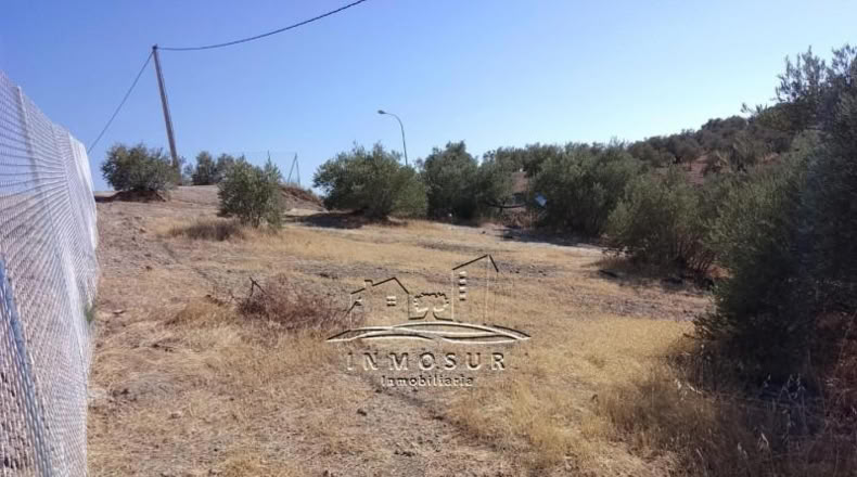 Córdoba - Lucena - 933m2