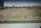 Terreny no urbanitzable en venda a la España, Múrcia, ref.: TR119641 foto