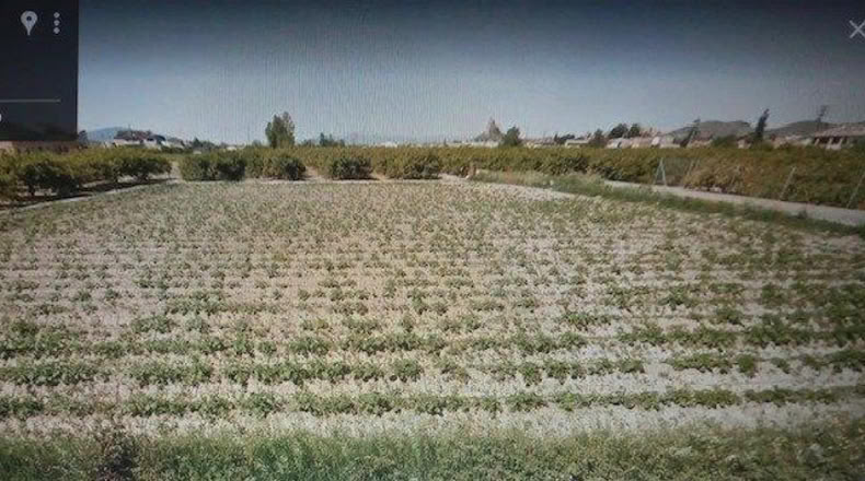 Múrcia - Murcia - 1462m2