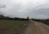 Terreny no urbanitzable en venda a la España, Múrcia, ref.: TR119641 foto