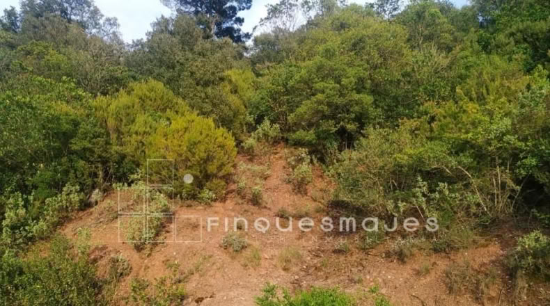 Barcelona - Vacarisses - 2400m2