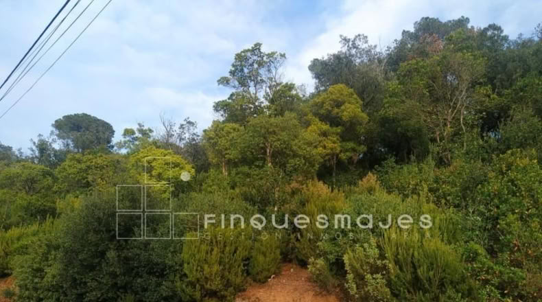 Barcelona - Vacarisses - 2400m2