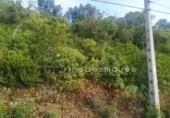 Sòl urbà en venda a la España, Vacarisses, ref.: TR120758 foto