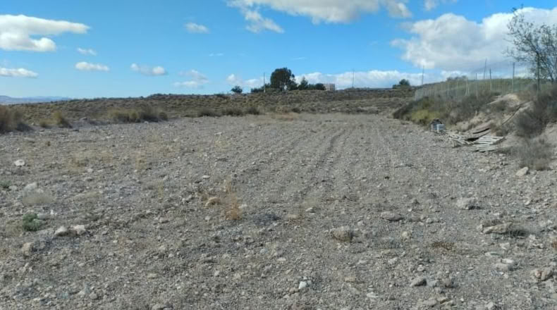 Múrcia - Lorca - 8898m2