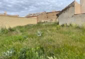 Parcela urbanizable en venta en la España, Bercial, ref: TR130622 foto