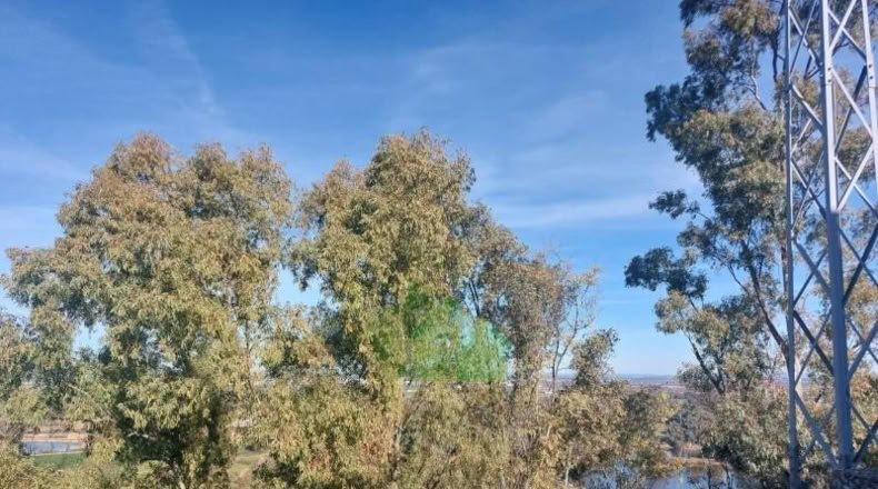 Badajoz - Lobón - 287m2