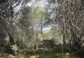 Non-developable land for sale on España, Cebreros, ref: TR112884 photo