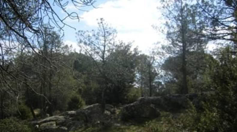 Ávila - Cebreros - 32537m2