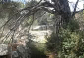 Non-developable land for sale on España, Cebreros, ref: TR112884 photo