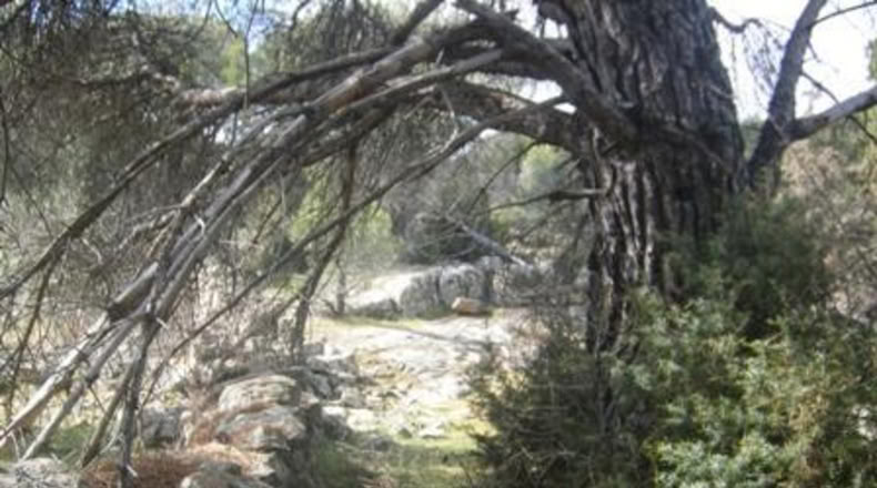 Ávila - Cebreros - 32537m2
