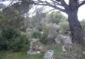 Non-developable land for sale on España, Cebreros, ref: TR112884 photo