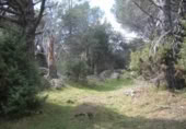 Non-developable land for sale on España, Cebreros, ref: TR112884 photo