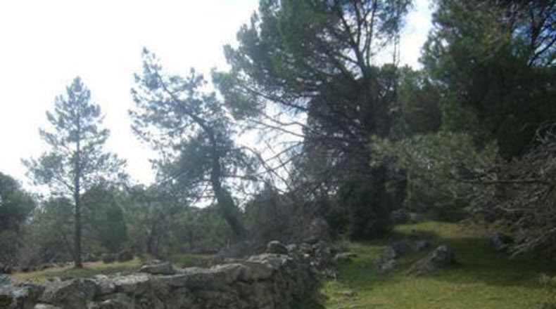 Ávila - Cebreros - 32537m2