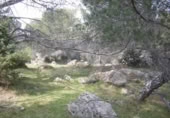 Non-developable land for sale on España, Cebreros, ref: TR112884 photo