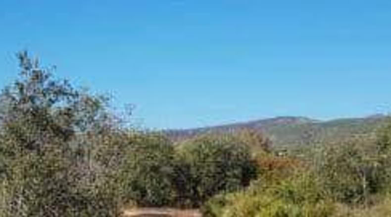 Valencia - Benicolet - 77332m2