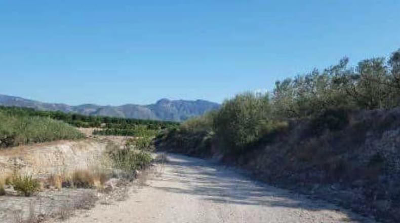 Valencia - Benicolet - 77332m2
