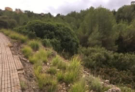 Foto 8