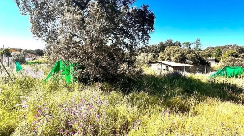 Sevilla - Castilblanco de los Arroyos - 2000m2