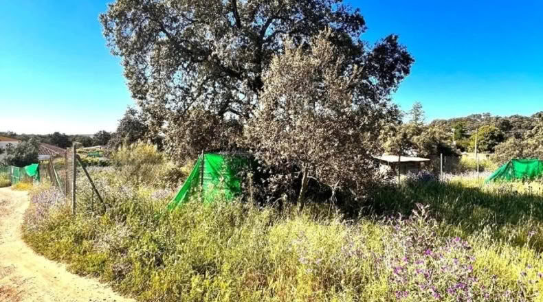 Sevilla - Castilblanco de los Arroyos - 2000m2