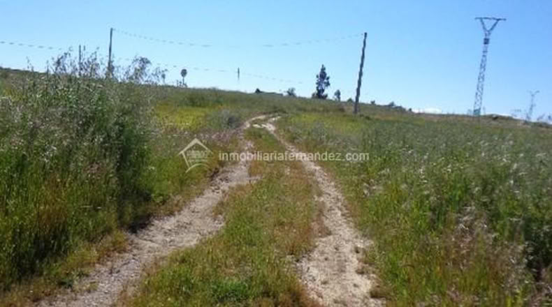 Cáceres - Sierra de Fuentes - 5500m2